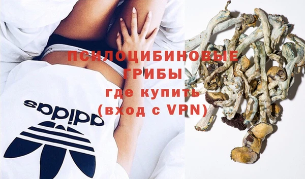 СК Абдулино