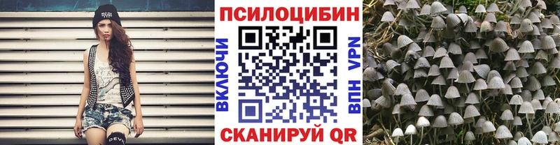 Псилоцибиновые грибы ЛСД  blacksprut tor  Тайга 