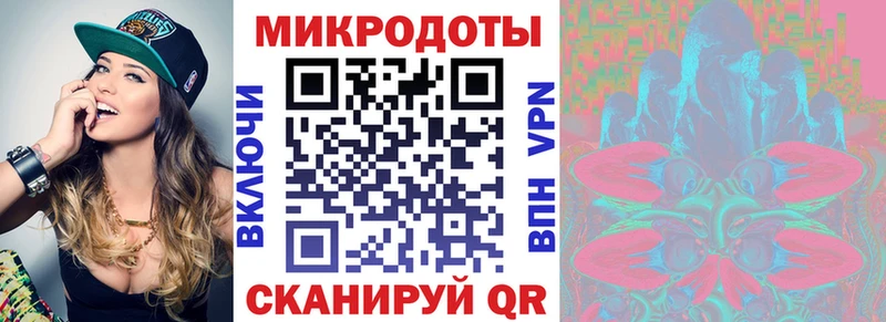 Галлюциногенные грибы Cubensis Тайга
