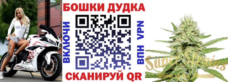 где купить наркоту Тайга Бошки Шишки SATIVA & INDICA